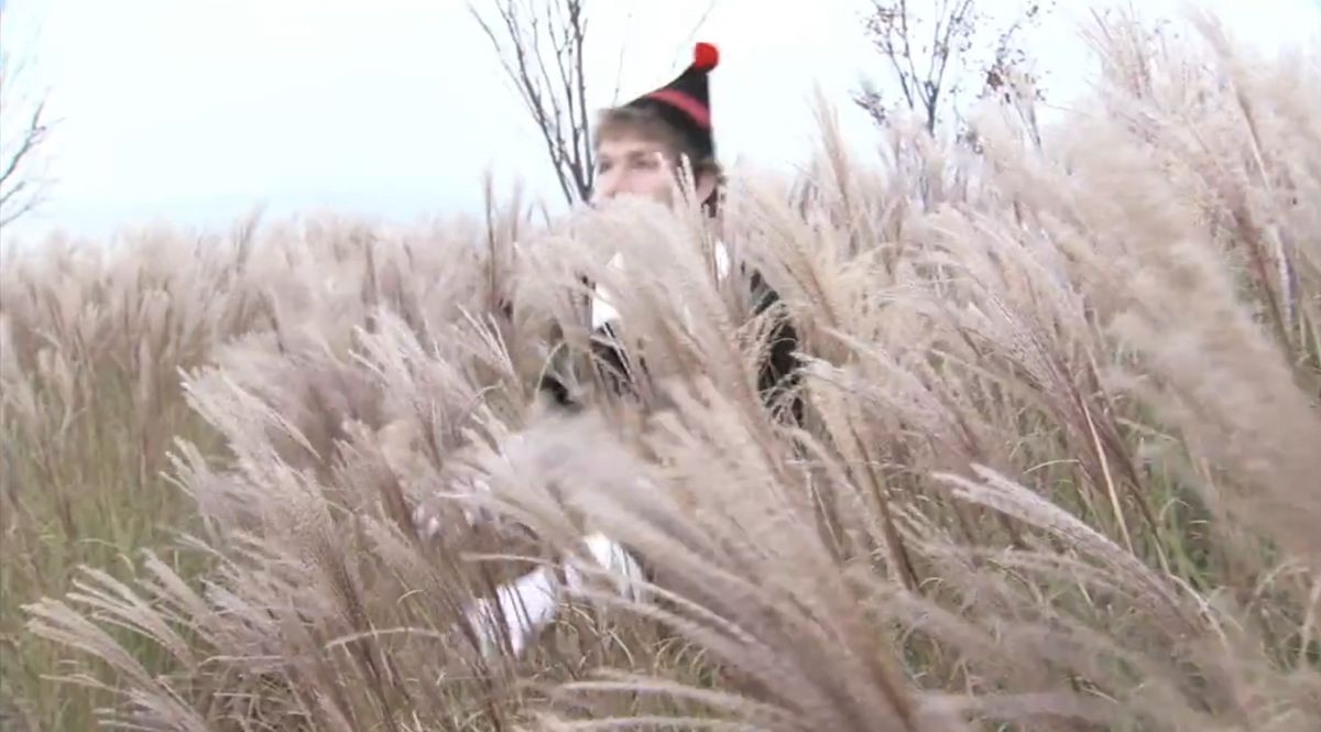 OFFICE MAX: ELF YOURSELF - NYC INVASION – ONLINE COMMERCIAL